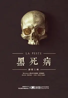 黑死病第一季：历史惊悚剧中的瘟疫阴影与人性考验